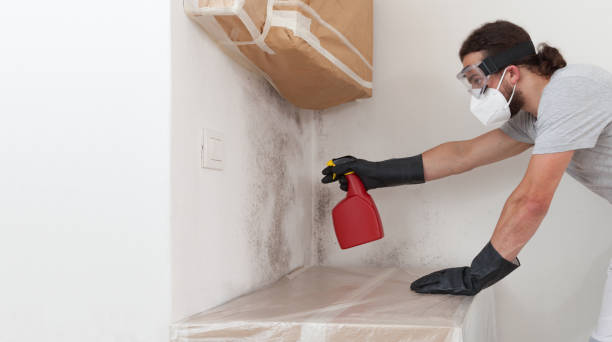 Professional Basement Mold Removal technician working in Aspers, PA